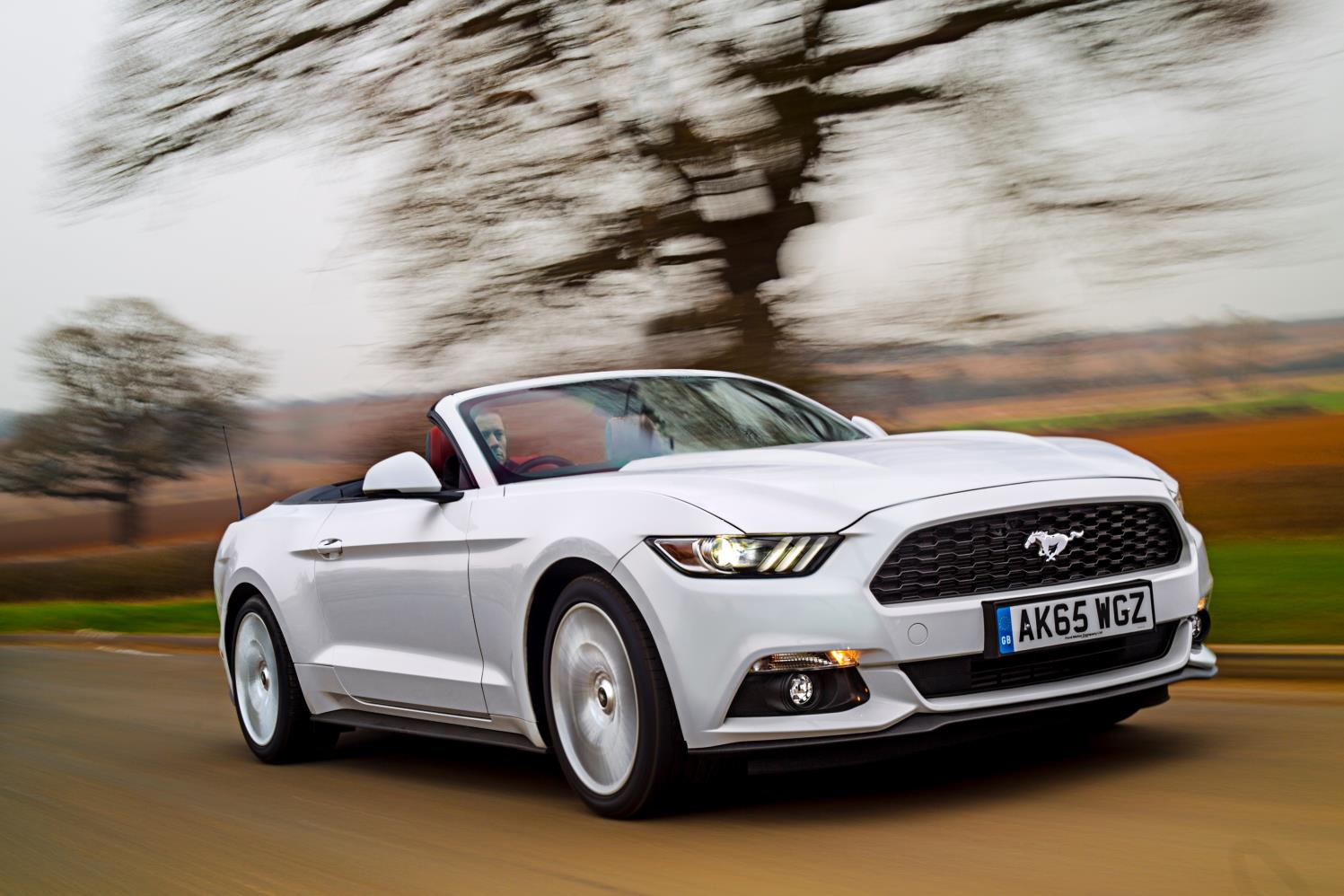 Ford Mustang con
